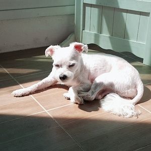 Meet your Posher, Myunghwa